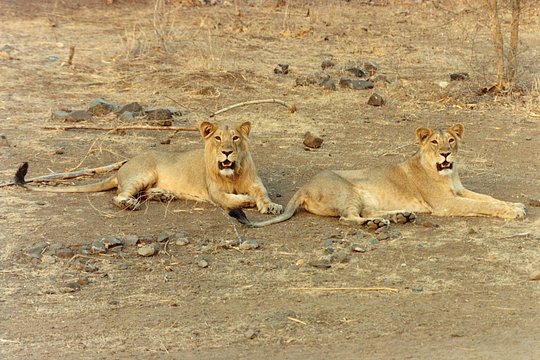 Tour image 12