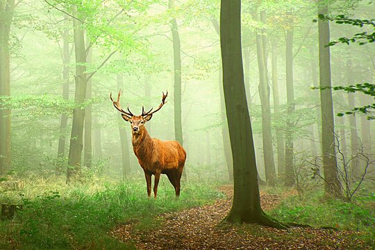 Tour image 3