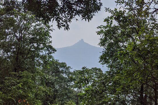Tour image 9