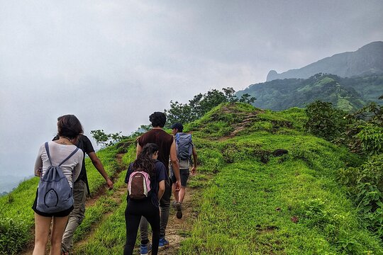 Tour image 6